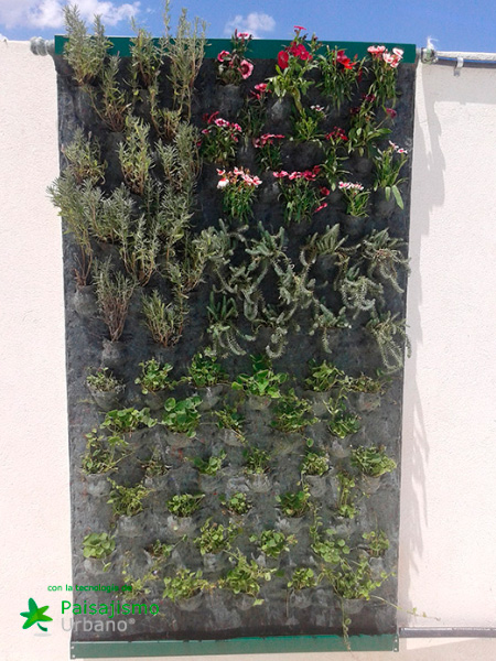 Jardines verticales en Argentina - Federico Pandolfi 7 Paisajismo Urbano FedericoPandolfi9