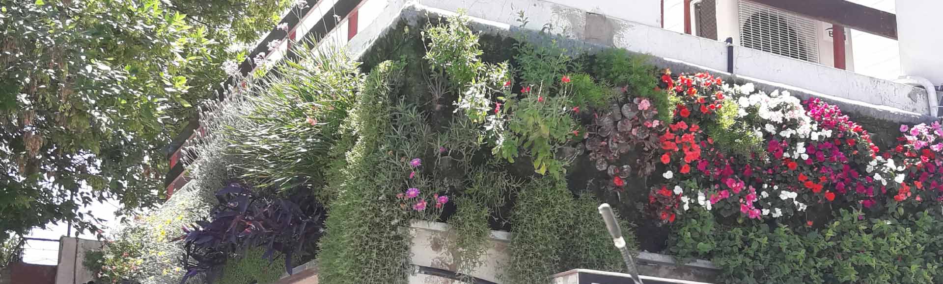Jardines verticales en Argentina - Federico Pandolfi 1 Paisajismo Urbano FedericoPandolfiPortad
