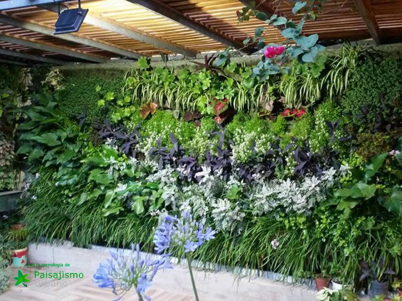Jardines verticales en Argentina - Guillermo Albors 5 Paisajismo Urbano GuillermoAlbors5