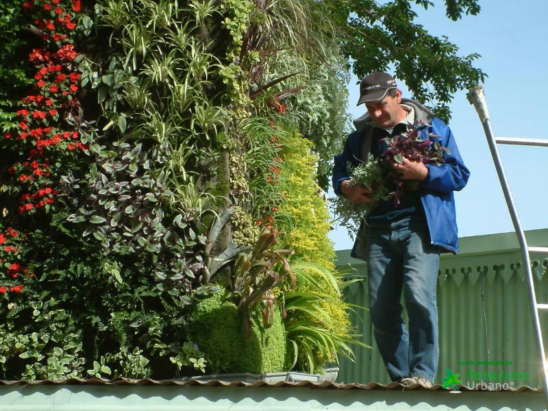 colaboradores paisajismo urbano