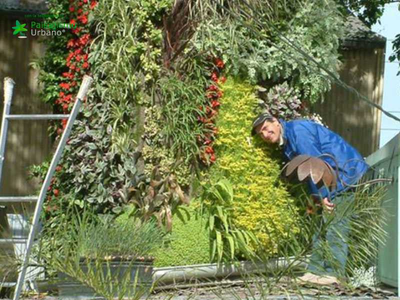 jardín vertical hecho con el sistema de paisajismo urbano