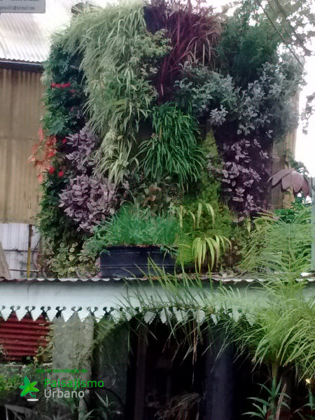 jardín vertical hecho con el sistema de paisajismo urbano