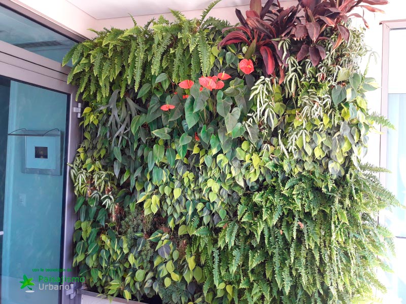 colaboradores paisajismo urbano