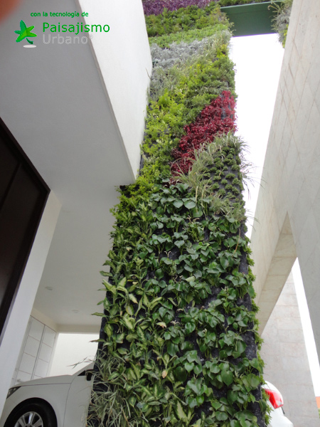 Jardines verticales en México, Puebla - Adriana Padrón 14 Paisajismo Urbano Jard_n-vertical-Adriana-Padr_n1
