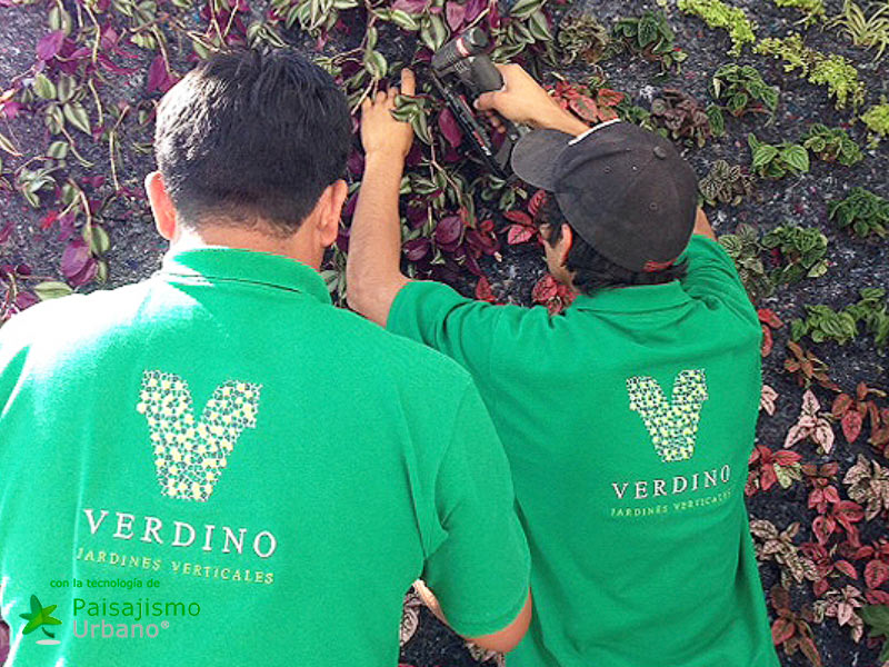 Jardines verticales en México, Puebla - Adriana Padrón 9 Paisajismo Urbano Jard_n-vertical-Adriana-Padr_n6