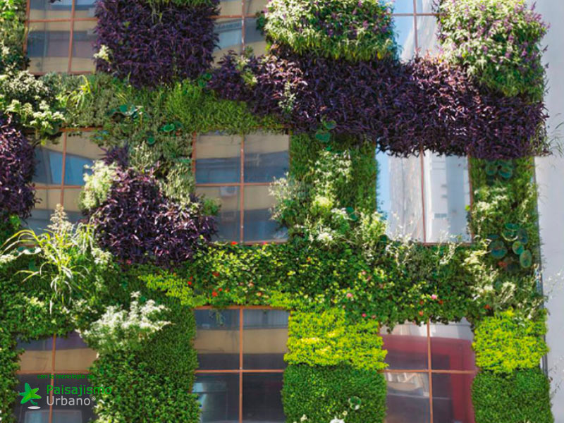 Jardines verticales Argentina - Julián Poggio 20 Paisajismo Urbano Juli_nPoggio1