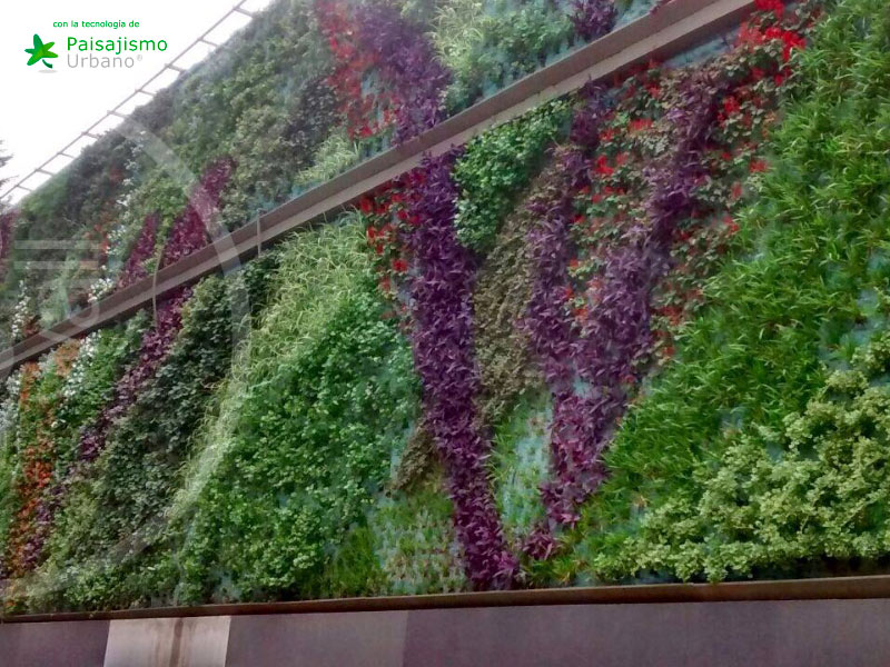 Jardines verticales Argentina - Julián Poggio 15 Paisajismo Urbano JulianPoggio5
