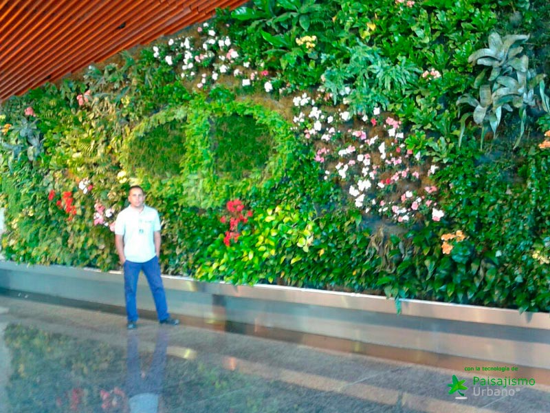Jardines verticales Argentina - Julián Poggio 13 Paisajismo Urbano JulianPoggio7