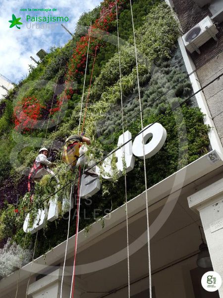 Jardines verticales Argentina - Julián Poggio 11 Paisajismo Urbano JulianPoggio9