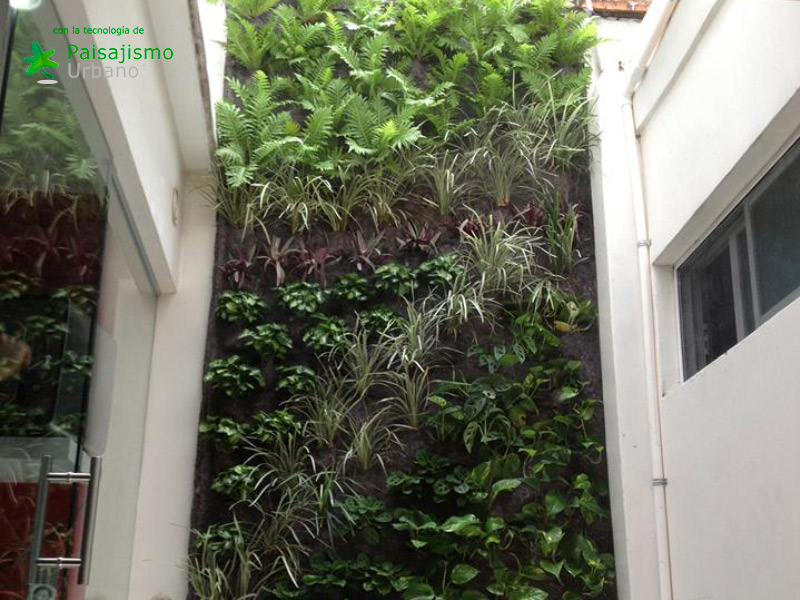 colaboradores paisajismo urbano