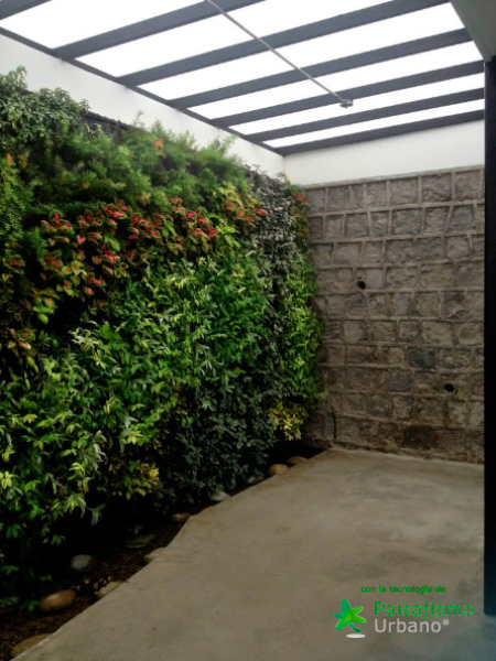 Jardines verticales Ecuador - Miguel Terán 2 Paisajismo Urbano MiguelTeran1