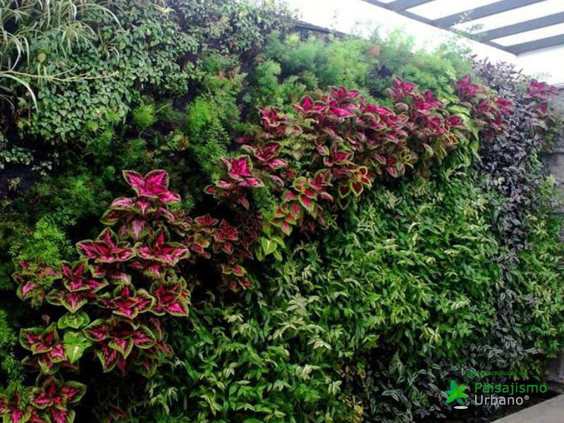 Jardines verticales Ecuador - Miguel Terán 7 Paisajismo Urbano MiguelTeran6