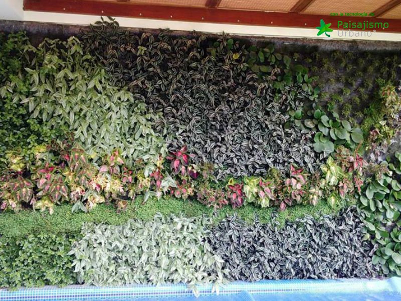 Jardines verticales Ecuador - Miguel Terán 9 Paisajismo Urbano MiguelTeran8