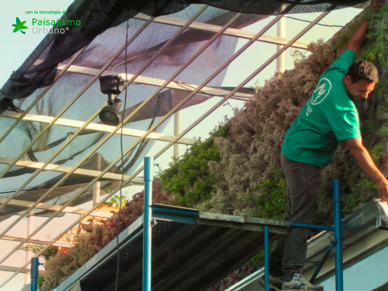 Jardines verticales Argentina - Nadir Laquis 17 Paisajismo Urbano NadirLaqis11_1