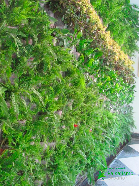 Jardines verticales Argentina - Nadir Laquis 11 Paisajismo Urbano NadirLaqis18