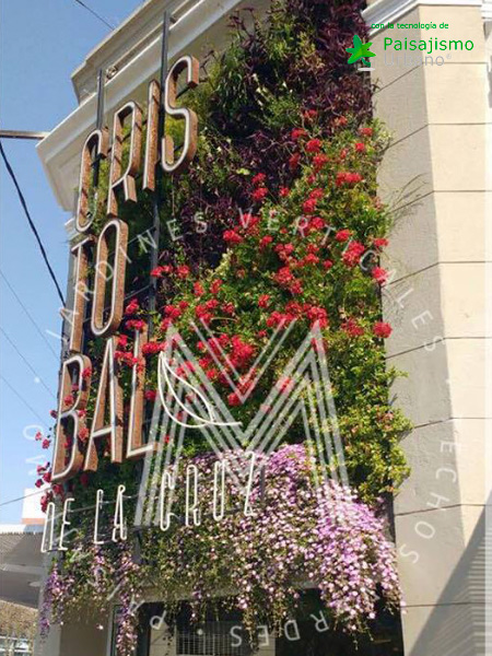 Jardines verticales Argentina - Nadir Laquis 5 Paisajismo Urbano NadirLaqis24