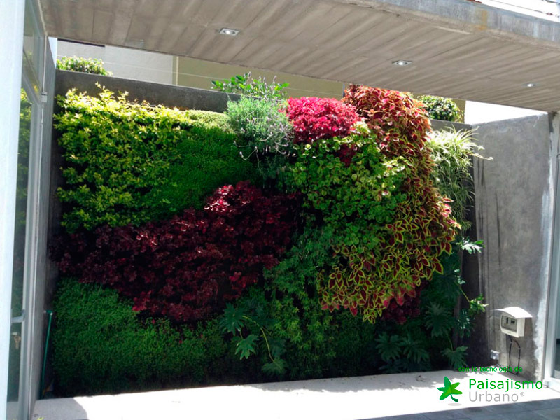 Muros verdes en México DF - Ricardo Martínez Larrauri 18 Paisajismo Urbano Ricardo-Mart_nez1