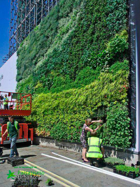 Muros verdes en México DF - Ricardo Martínez Larrauri 7 Paisajismo Urbano RicardoMartinezLarrauri11
