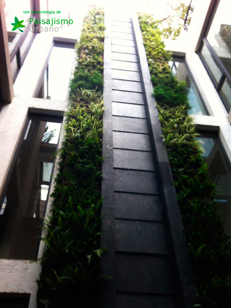Muros verdes en México DF - Ricardo Martínez Larrauri 3 Paisajismo Urbano RicardoMartinezLarrauri15