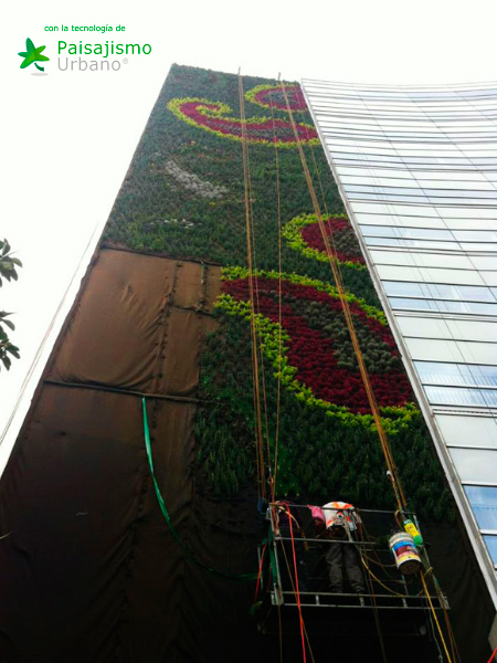 Muros verdes en México DF - Ricardo Martínez Larrauri 14 Paisajismo Urbano RicardoMartinezLarrauri4