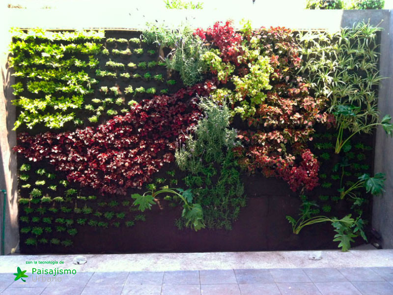 Muros verdes en México DF - Ricardo Martínez Larrauri 13 Paisajismo Urbano RicardoMartinezLarrauri5