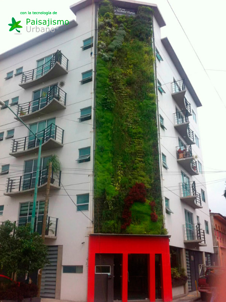 Muros verdes en México DF - Ricardo Martínez Larrauri 11 Paisajismo Urbano RicardoMartinezLarrauri7