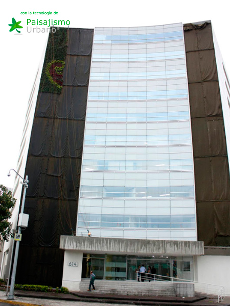 Muros verdes en México DF - Ricardo Martínez Larrauri 10 Paisajismo Urbano RicardoMartinezLarrauri8