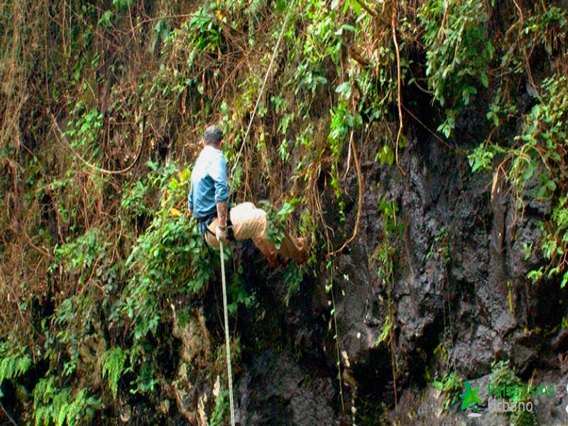Selva-Misiones-reducida1