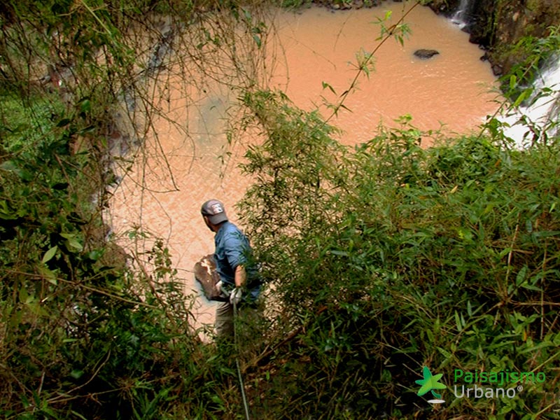 Selva-Misiones-reducida17