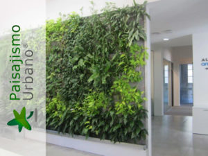 colaboradores paisajismo urbano