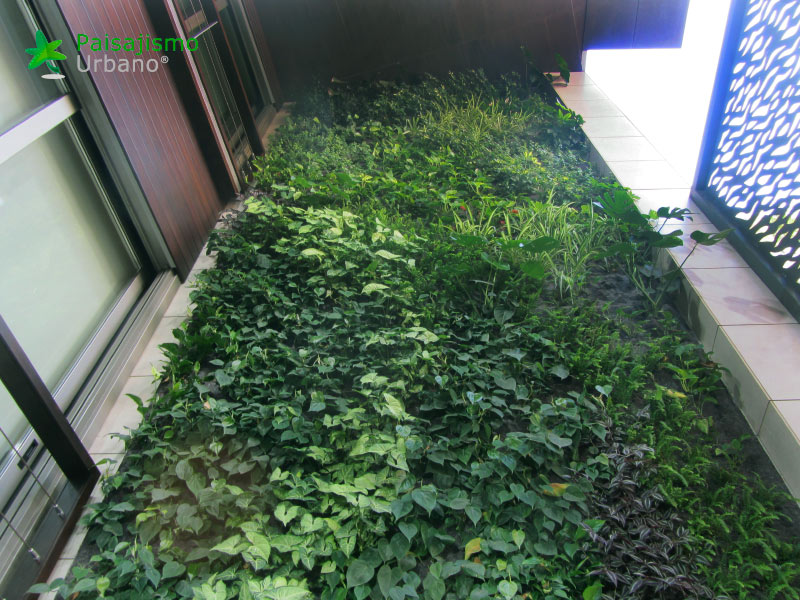 jardin vertical villarreal
