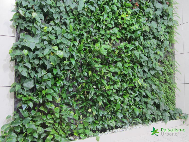 jardin vertical villarreal