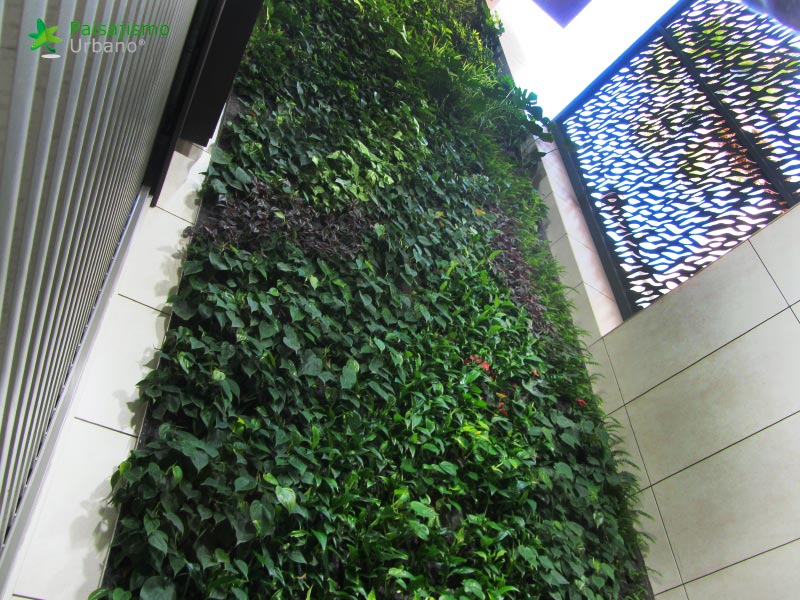 jardin vertical villarreal