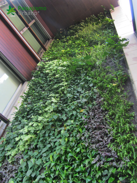 jardin vertical en vivienda particular villarreal