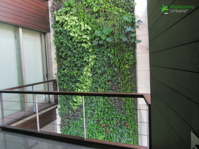 jardin vertical en vivienda particular villarreal
