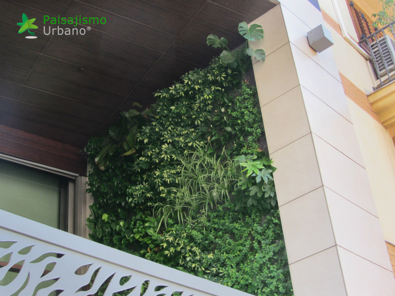 jardin vertical en vivienda particular villarreal