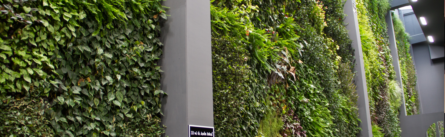 Proyecto Jardín vertical Restaurante Bálamo-Madrid, 2018