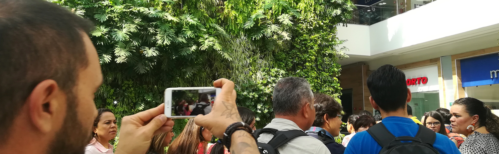 Proyecto de alumna Sylvia Llano, Ciudad de México, 2019