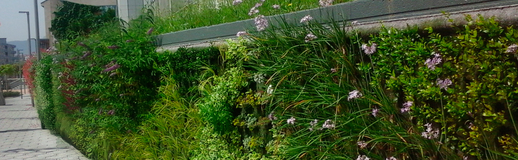 Proyecto jardín vertical Durango – Bizcaia. Paisajismo Urbano, 2019
