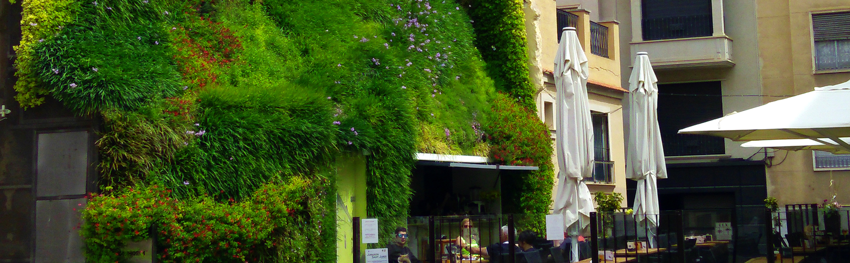 Proyecto jardín vertical Calahorra – Elche. Paisajismo Urbano, 2014