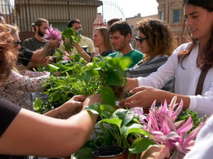 curso jardines verticales clase02