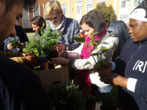 Cursos 9 Paisajismo Urbano curso practico jardines vericales
