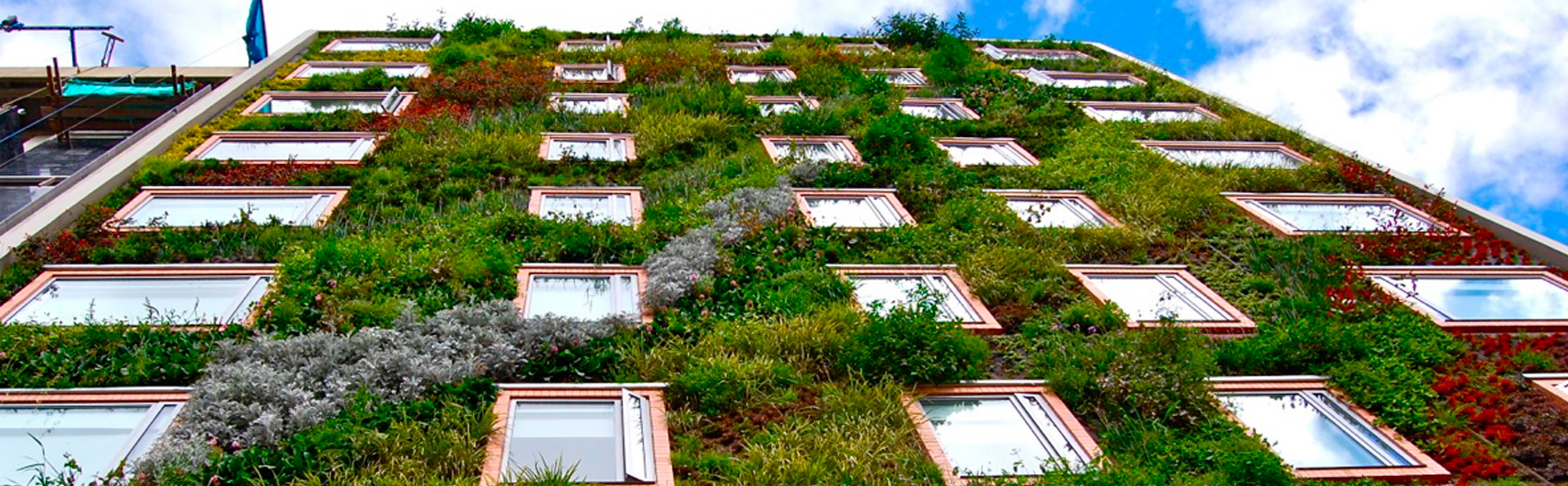 Proyecto jardín vertical Hotel B3- Bogotá. Paisajismo Urbano 2013