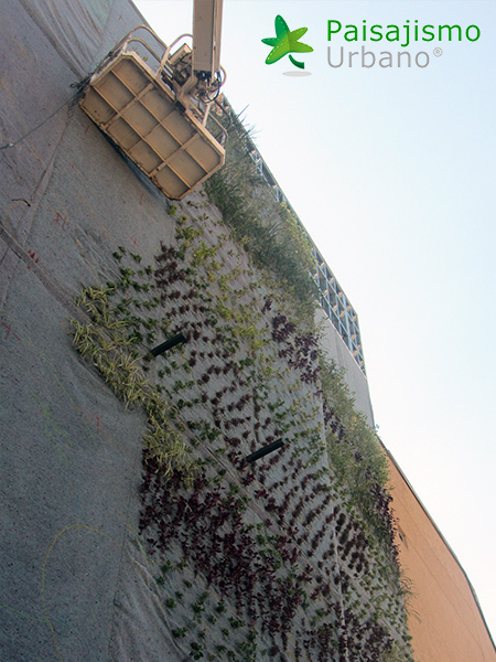 jardín vertical en centro comercial bolivia