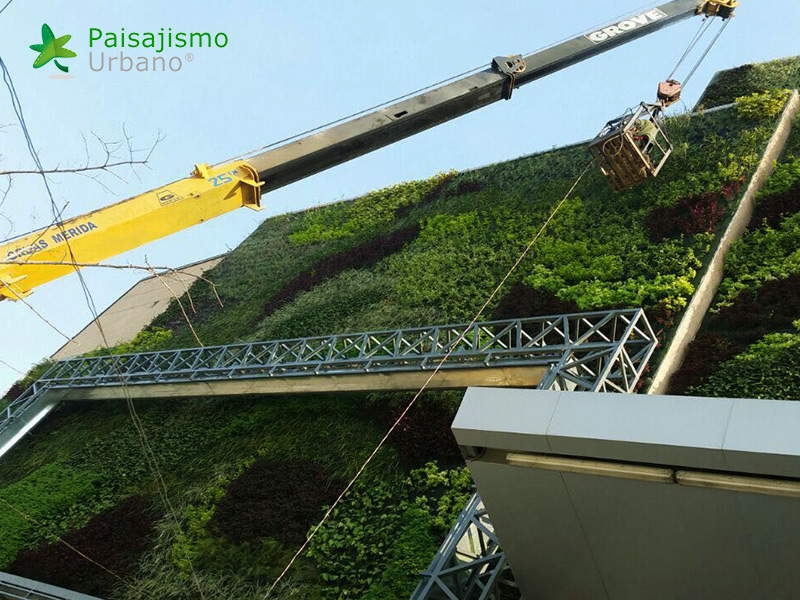 jardín vertical en centro comercial bolivia