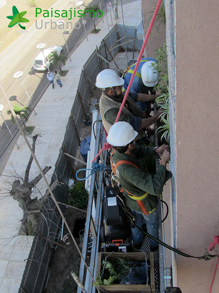 instalación de jardines verticales paisajismo urbano
