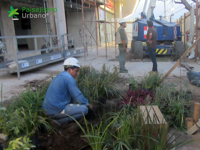 instalación de jardines verticales