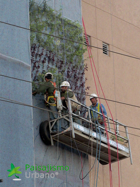 instalación de jardines verticales