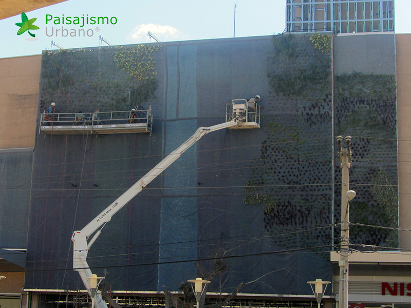 instalación de jardines verticales
