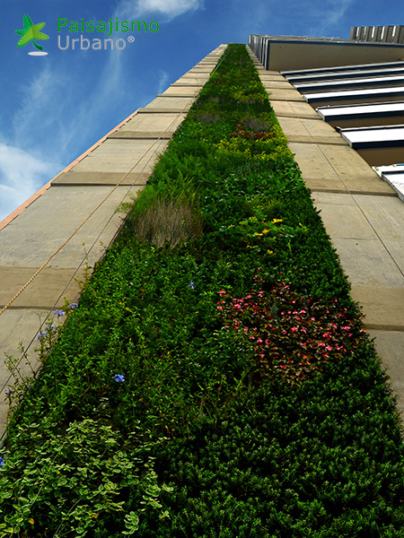 muro verde colombia